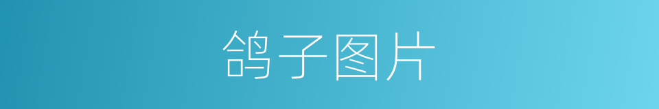 鸽子图片的同义词