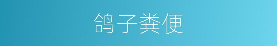 鸽子粪便的同义词