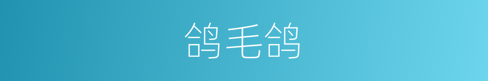 鸽毛鸽的同义词