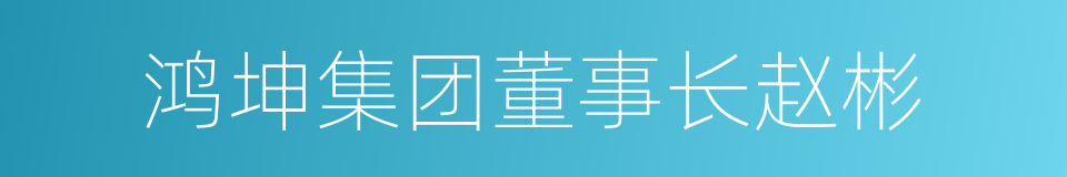 鸿坤集团董事长赵彬的同义词