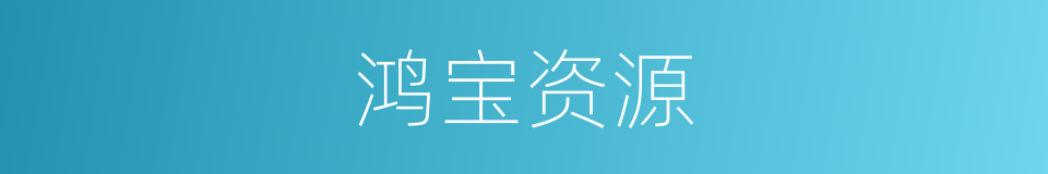 鸿宝资源的同义词