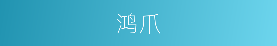 鸿爪的意思