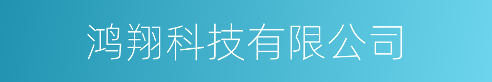 鸿翔科技有限公司的同义词
