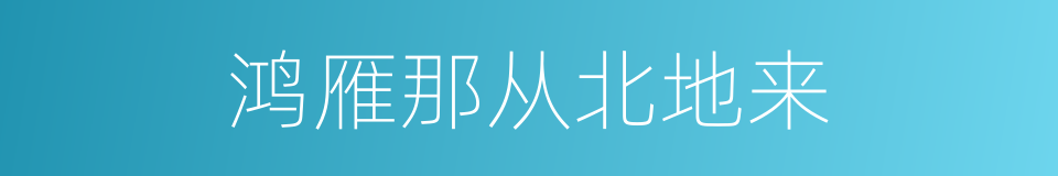 鸿雁那从北地来的同义词