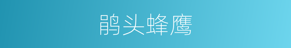 鹃头蜂鹰的同义词