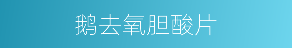 鹅去氧胆酸片的同义词