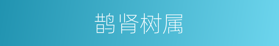 鹊肾树属的同义词