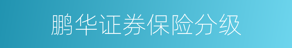 鹏华证券保险分级的同义词