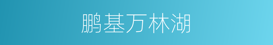 鹏基万林湖的同义词
