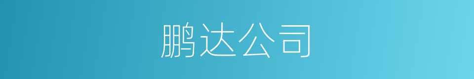 鹏达公司的同义词