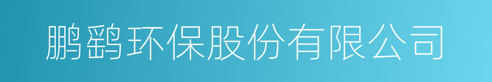 鹏鹞环保股份有限公司的同义词