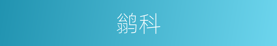 鹟科的同义词