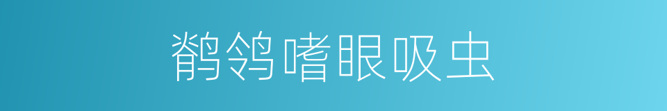鹡鸰嗜眼吸虫的同义词