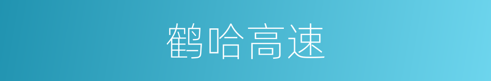 鹤哈高速的同义词