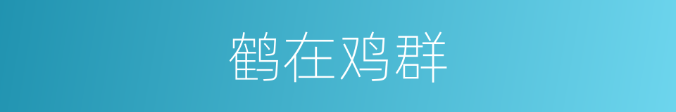 鹤在鸡群的意思