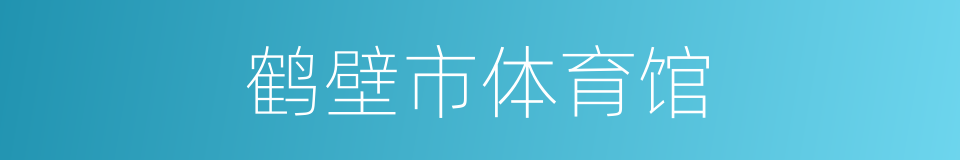 鹤壁市体育馆的同义词