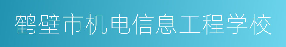 鹤壁市机电信息工程学校的同义词