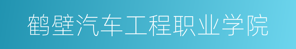 鹤壁汽车工程职业学院的同义词