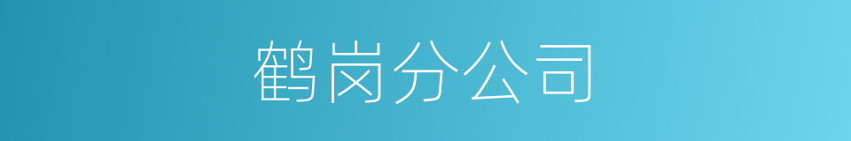 鹤岗分公司的同义词