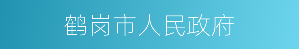 鹤岗市人民政府的同义词