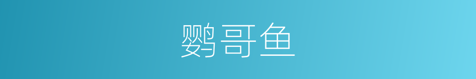 鹦哥鱼的同义词