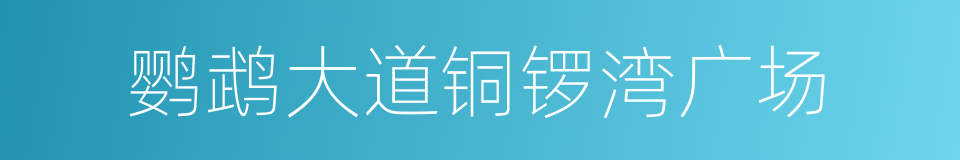 鹦鹉大道铜锣湾广场的同义词