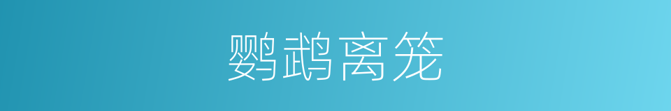 鹦鹉离笼的同义词