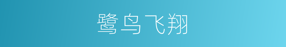 鹭鸟飞翔的同义词