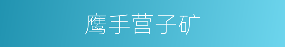 鹰手营子矿的同义词
