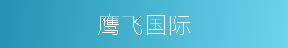 鹰飞国际的同义词