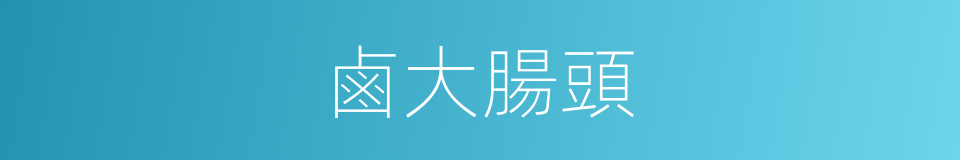 鹵大腸頭的同義詞