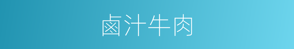 鹵汁牛肉的同義詞