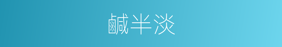 鹹半淡的同義詞