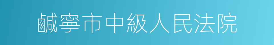 鹹寧市中級人民法院的同義詞