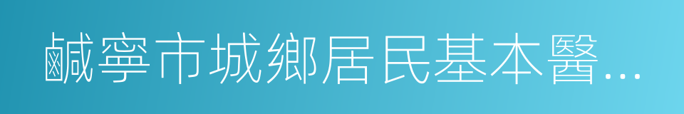 鹹寧市城鄉居民基本醫療保險實施辦法的同義詞