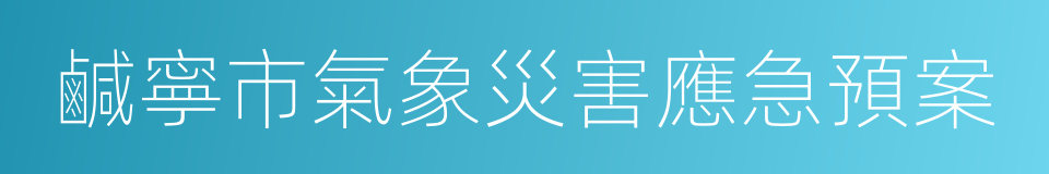 鹹寧市氣象災害應急預案的同義詞