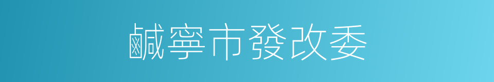 鹹寧市發改委的同義詞