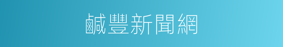 鹹豐新聞網的同義詞