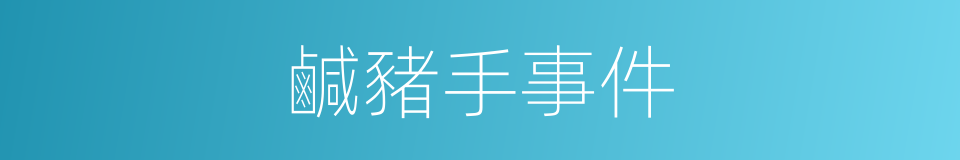 鹹豬手事件的同義詞