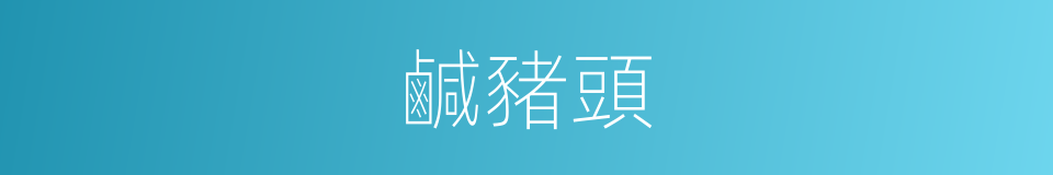 鹹豬頭的同義詞
