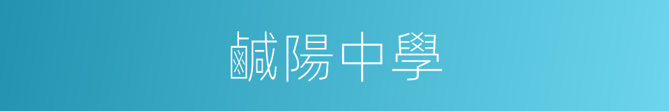 鹹陽中學的同義詞