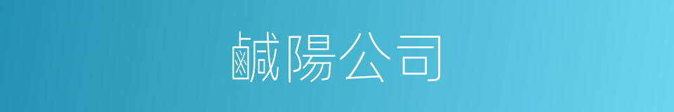 鹹陽公司的同義詞