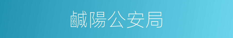 鹹陽公安局的同義詞