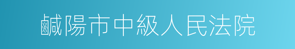 鹹陽市中級人民法院的同義詞