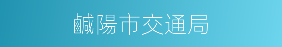 鹹陽市交通局的同義詞