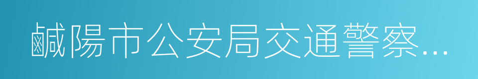 鹹陽市公安局交通警察支隊的同義詞