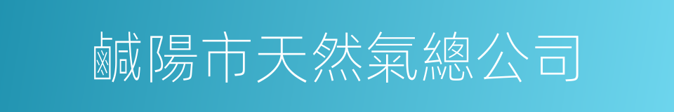 鹹陽市天然氣總公司的同義詞