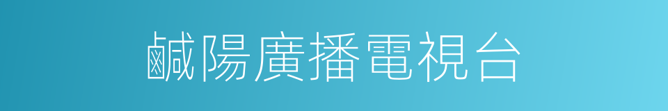 鹹陽廣播電視台的同義詞