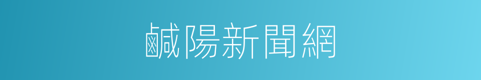 鹹陽新聞網的同義詞