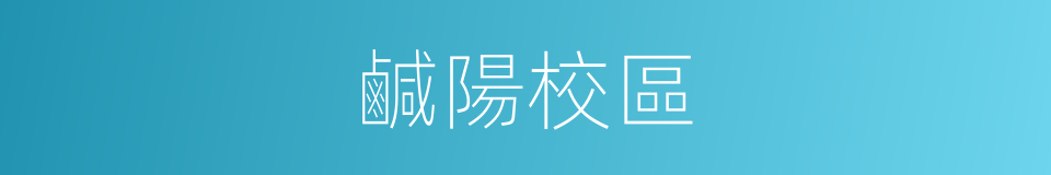鹹陽校區的同義詞